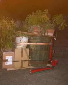 Transport de plantes et de pots